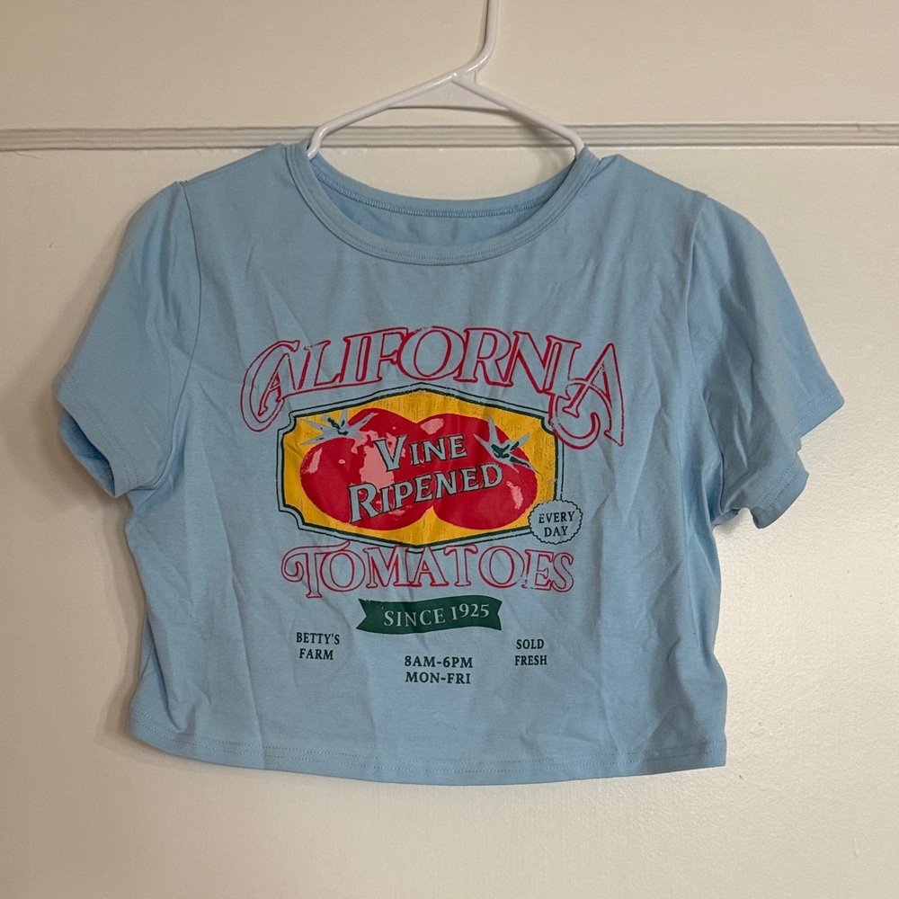 Urban Outfitters Light Blue California Tomatoes Tee